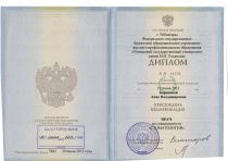 Борисова Анна Владимировна Диплом