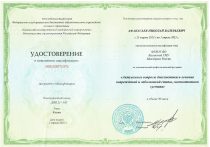 Афанасьев Николай Валерьевич Удостоверение