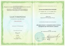 Афанасьев Николай Валерьевич Удостоверение